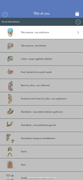 Game screenshot Mémofiches Anatomie Netter apk