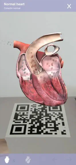 Game screenshot Cardiology 3D Small Animals hack