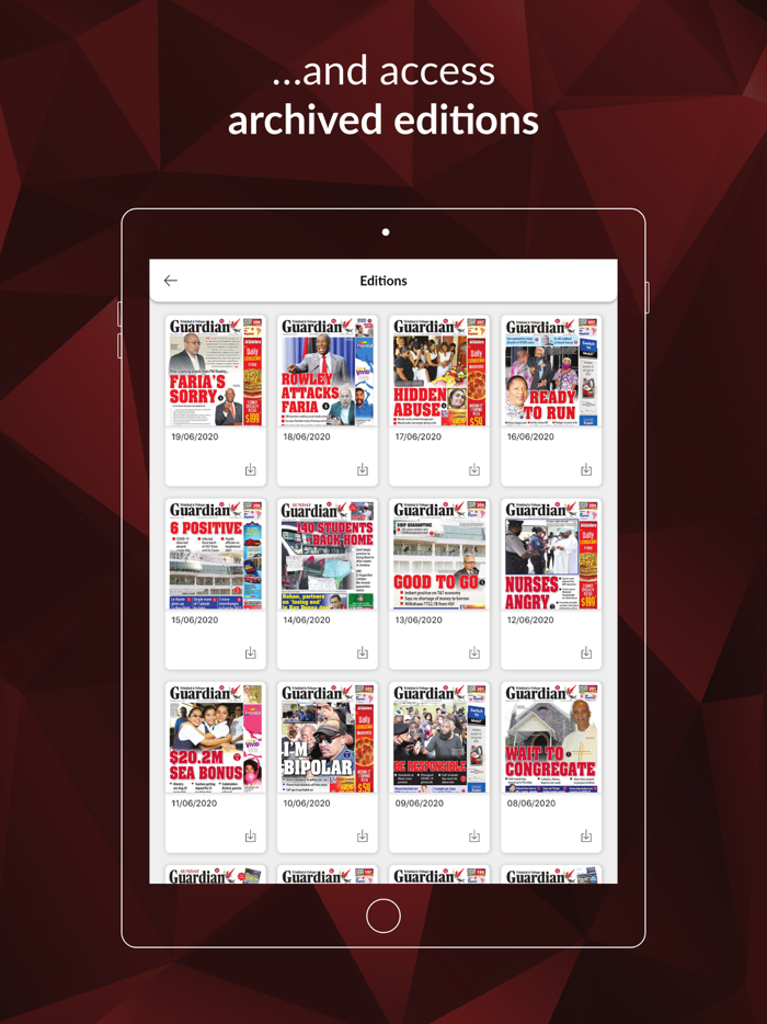 The Digital Guardian