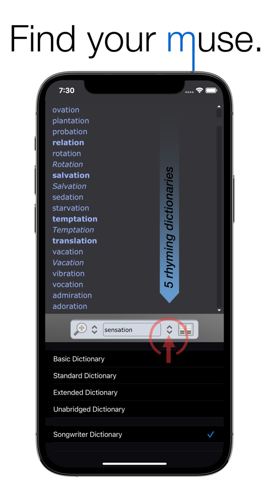 #4. Rhyme Genie (iOS) 由: Idolumic LLC