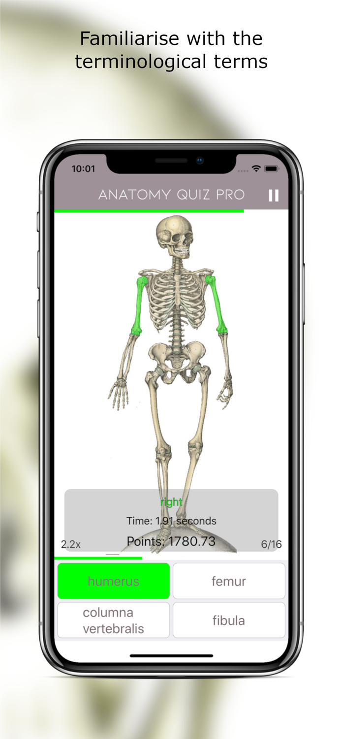 Anatomy Quiz Premium