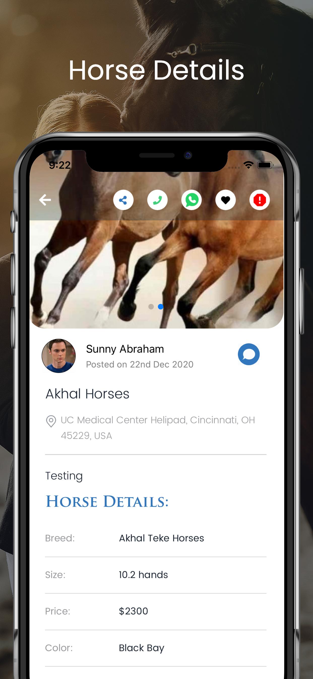 Horse Match screenshot 5