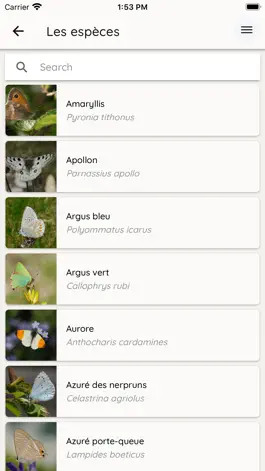 Game screenshot Papillonline apk