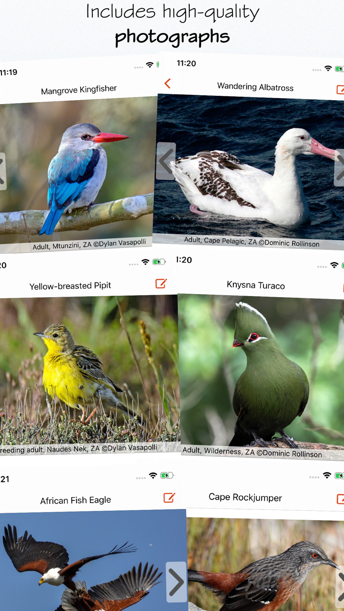 Sasol eBirds South Africa LITE