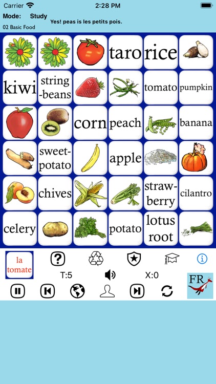 French 4 Beginners - PE