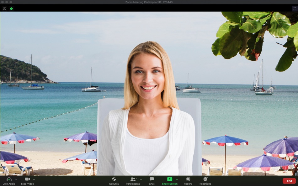 #3. Backgrounds for Zoom Meetings (macOS) 由: UAB Macmanus
