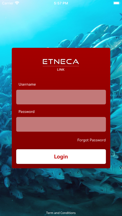Etneca Link Screenshot