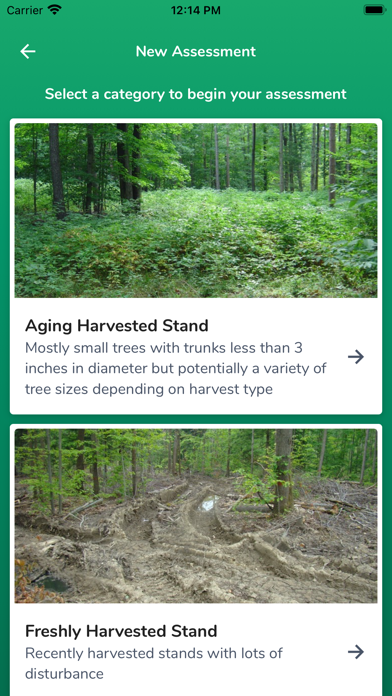 HealthyWoods Screenshot
