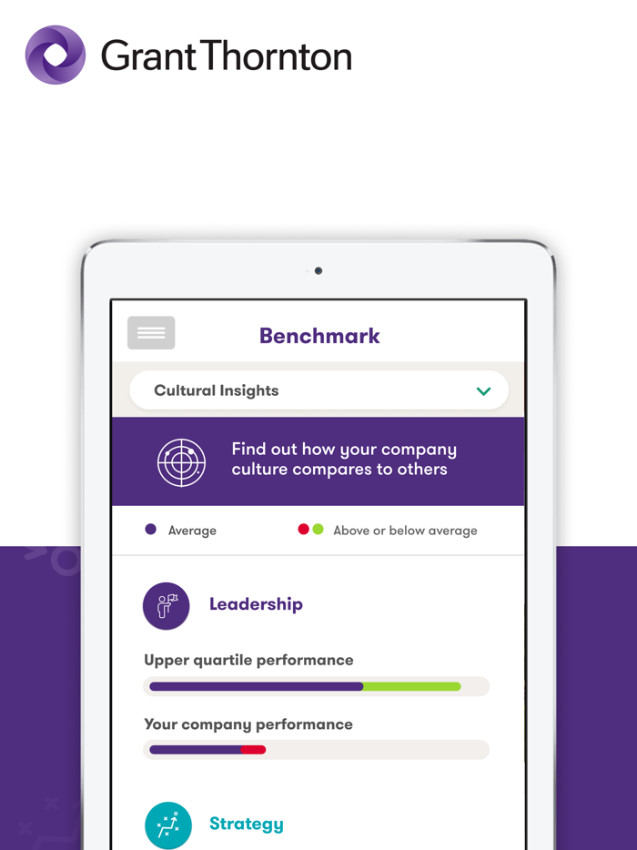 Business Risk Services