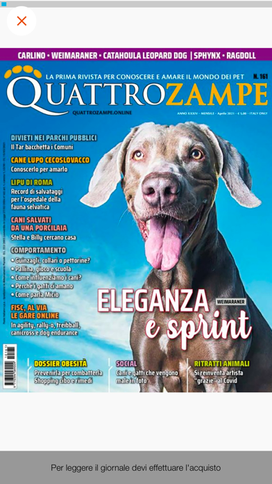 Quattrozampe Edicola Digitaleのおすすめ画像7