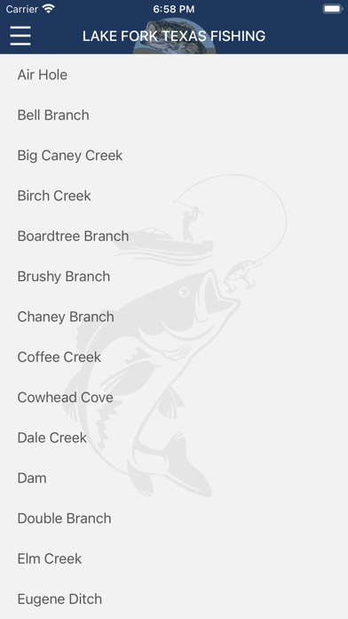 Lake Fork Fishing Screenshot