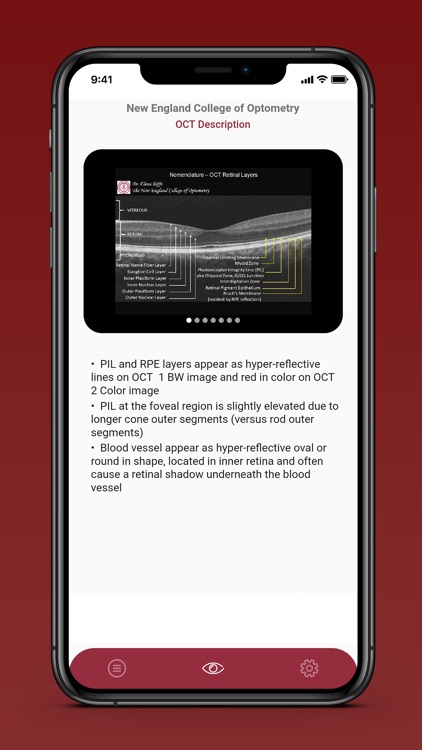 OCTaVIA screenshot-3