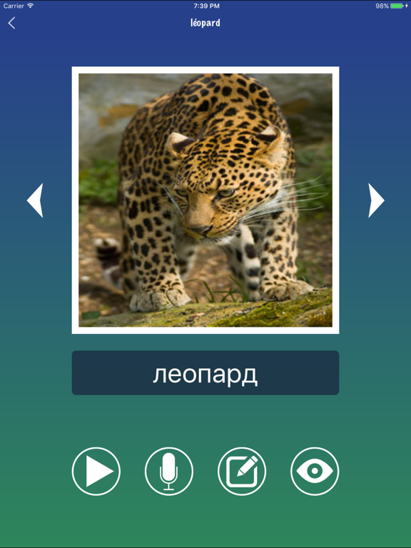 Screenshot #6 pour Russie Mots Flashcards