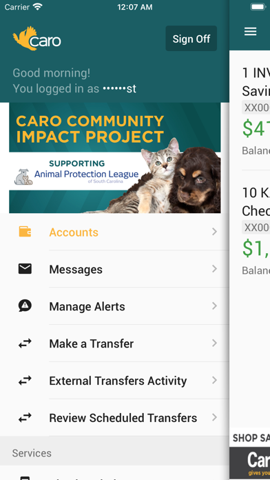 Caro Smart Financial Solutions Screenshot