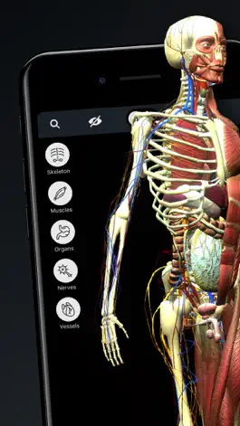 Game screenshot Human Body Atlas: 3D Medical mod apk