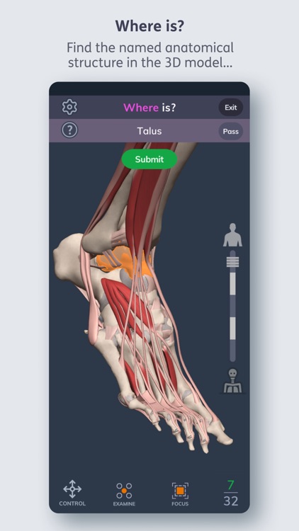 Primal's 3D Human Anatomy Quiz