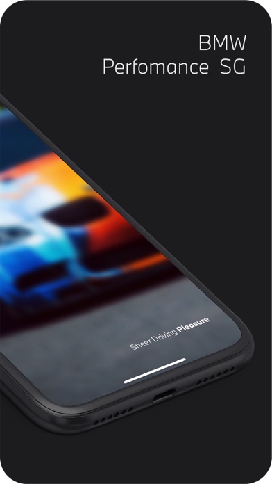 BMW Performance SG Screenshot