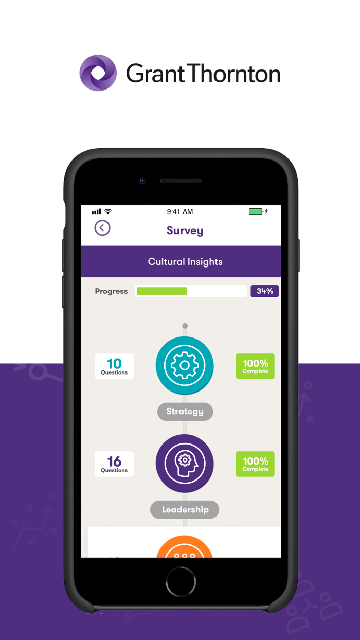 Business Risk Services