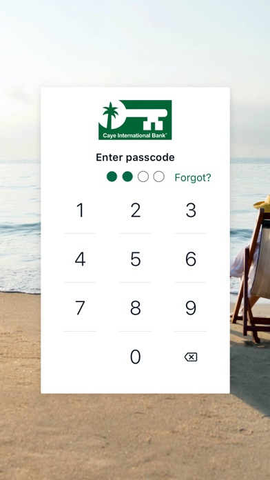 Caye International Bank Screenshot