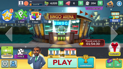 Bingo Tycoon! Screenshot