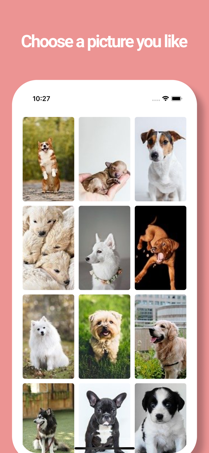 Dog Wallpapers -Picture Movie