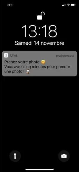 Game screenshot Seal mod apk