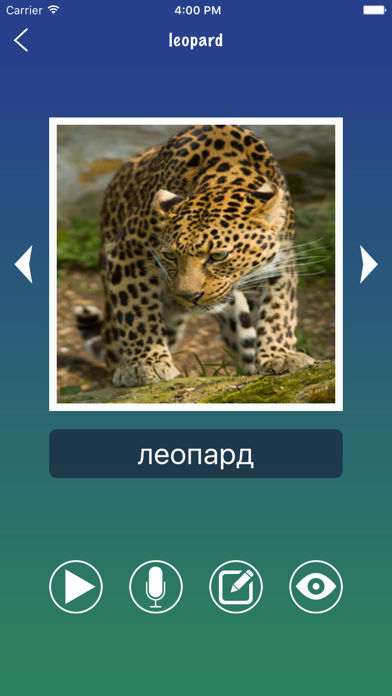 Russian Word Flashcards Learn Screenshot