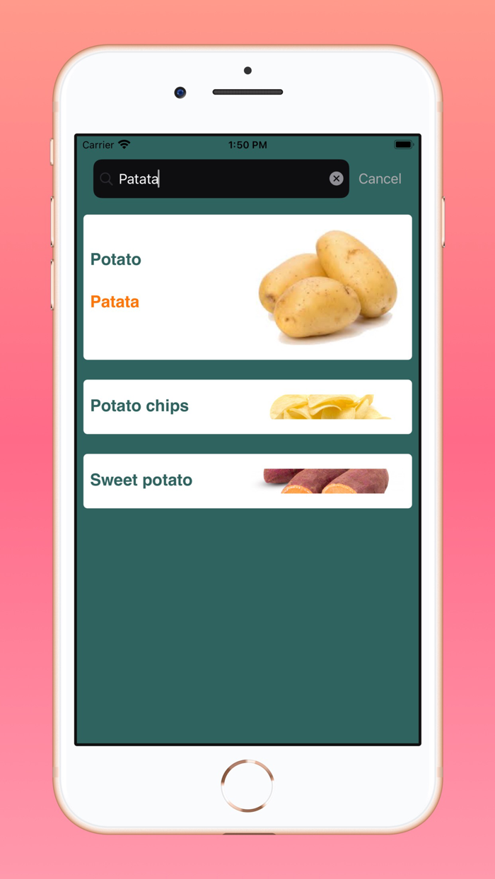 English Spanish Basic Words