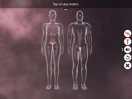 Screenshot #4 pour Human Reproductive System