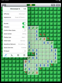 Game screenshot Minesweeper Q for iPad apk