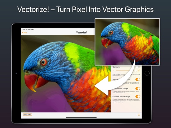 Vectorize! iPad app afbeelding 1