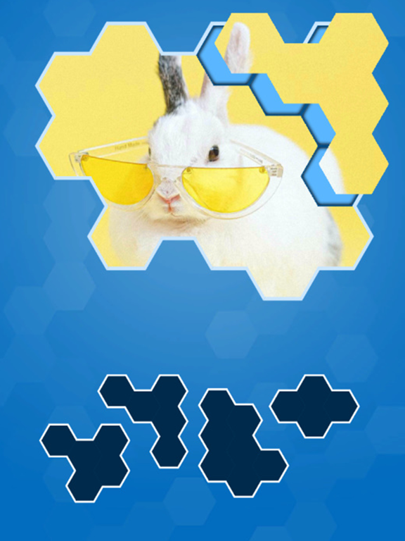 Screenshot #6 pour Hexa Puzzle Jigsaws