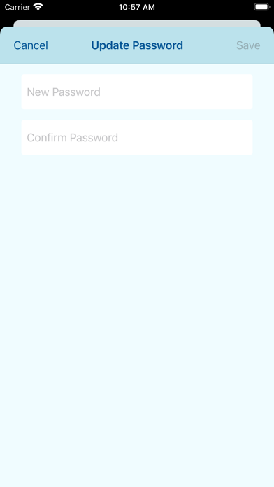 BIRST Screenshot