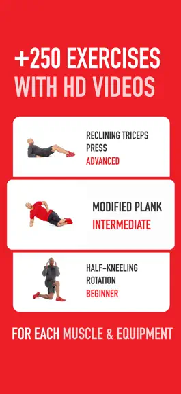 Game screenshot Ultimate ABS Workout hack