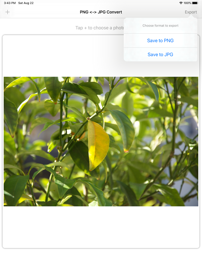 PNG ＜ー＞ JPG convert