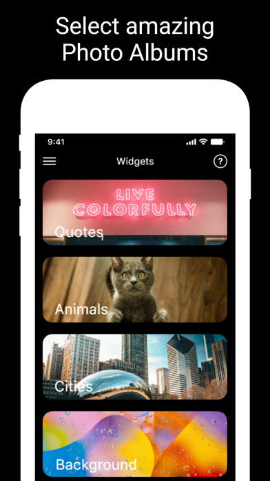 Photo Widget: Screenshot