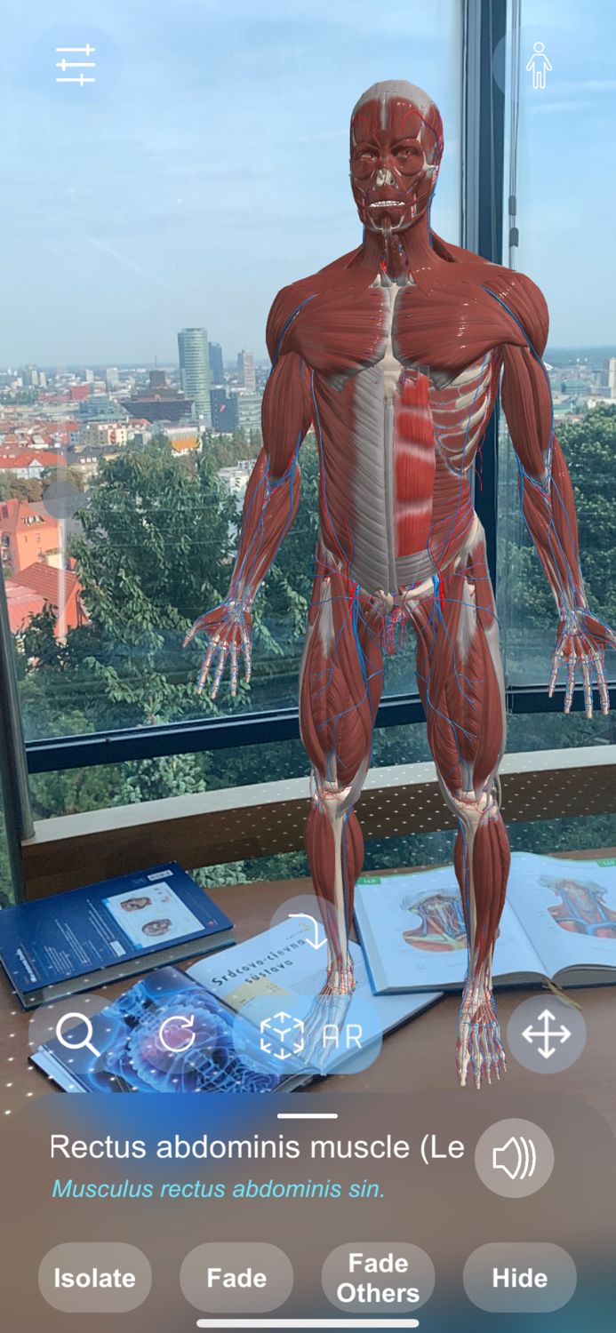 AR Anatomy