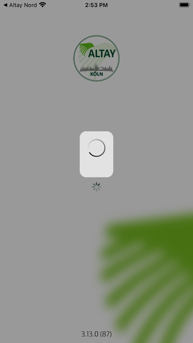 Altay Köln Screenshot
