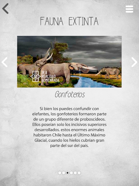 Screenshot #6 pour Patrimonio O'Higgins