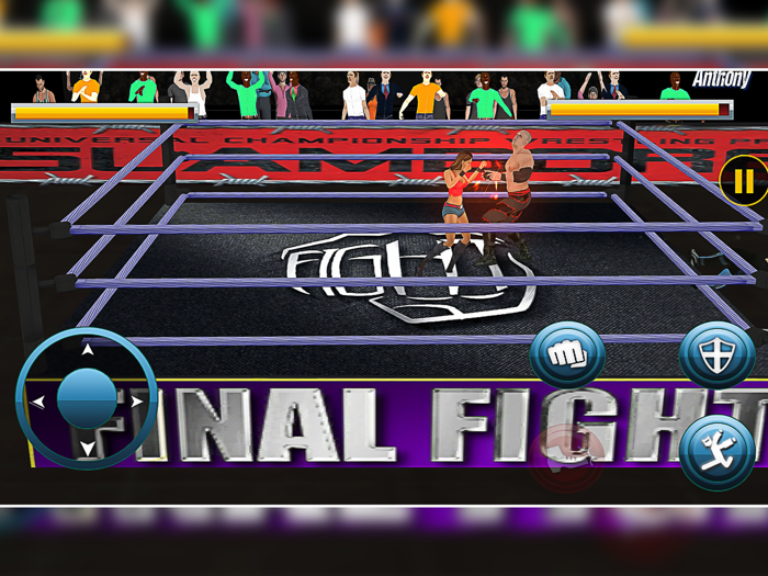 World Wrestling Fighting 2020