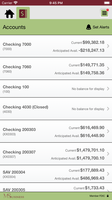 Monson Savings Biz Banking Screenshot