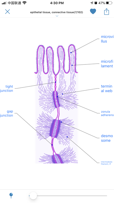 Atlas of Human Histology Screenshot