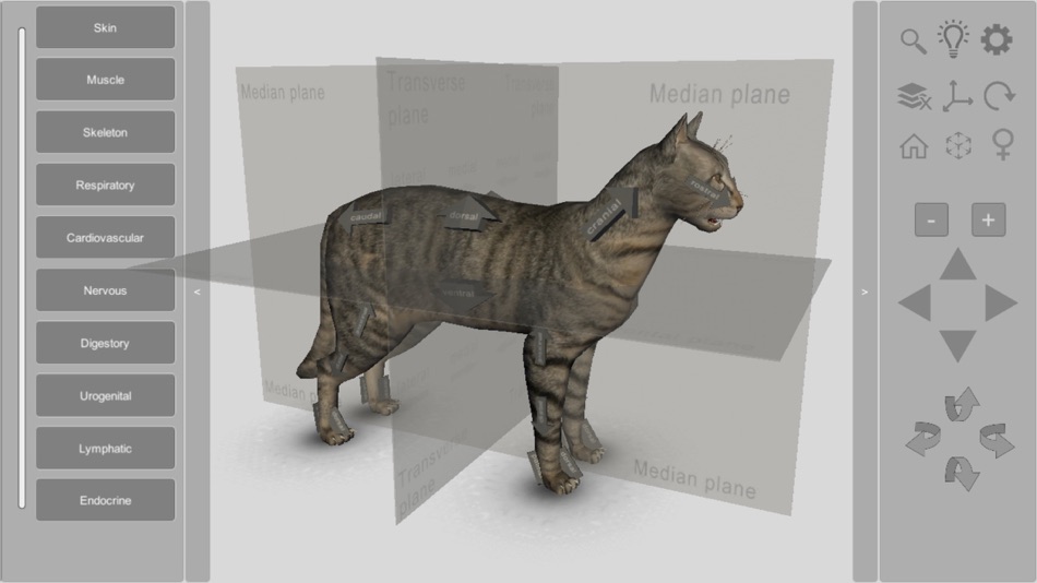 3D Cat Anatomy - 2.01 - (iOS)