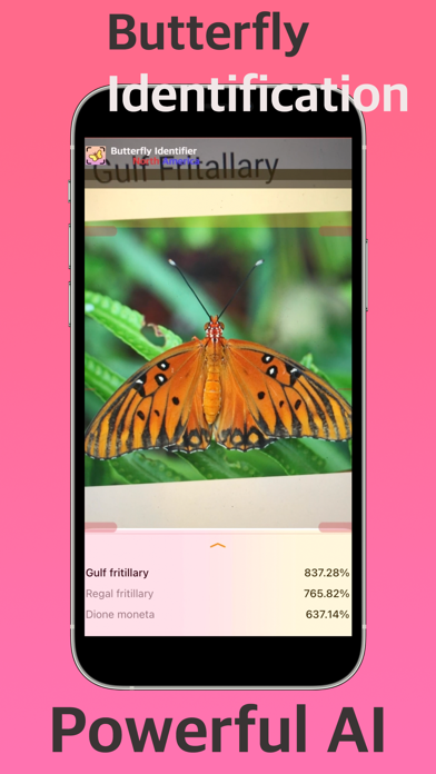 Butterfly Identifier (NA) Screenshot