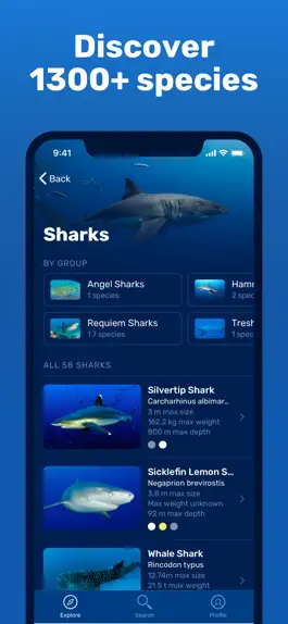 Game screenshot Seabook - Fish Identifier apk