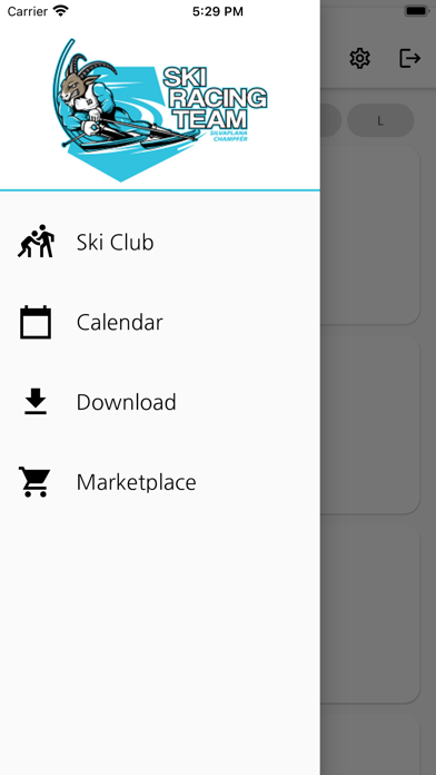 Ski Racing Team Screenshot