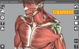 Captura 2 3D Anatomy Learning iphone