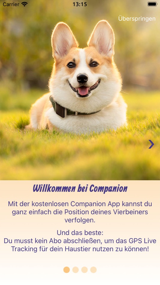 #8. GPS Companion (iOS) 由: haveltec GmbH