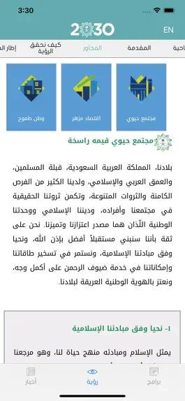 Game screenshot Saudi 2030 hack