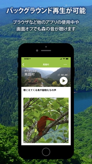 Forest Notesのおすすめ画像6